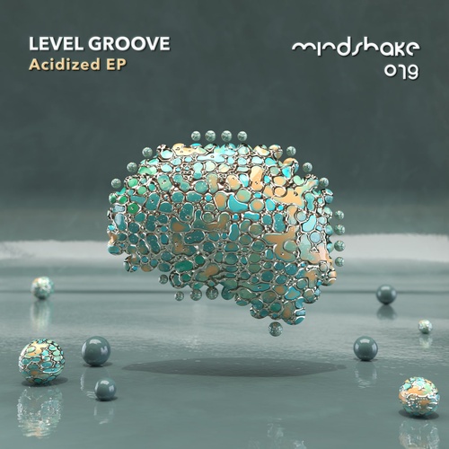 Level Groove - Acidized [MINDSHAKE079]